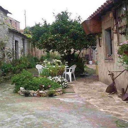 מלון Villanovaforru Casa Degli Aranci מראה חיצוני תמונה