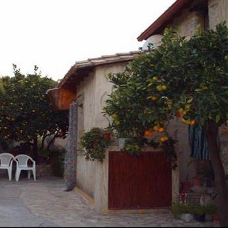 מלון Villanovaforru Casa Degli Aranci מראה חיצוני תמונה