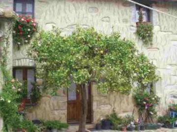 מלון Villanovaforru Casa Degli Aranci מראה חיצוני תמונה